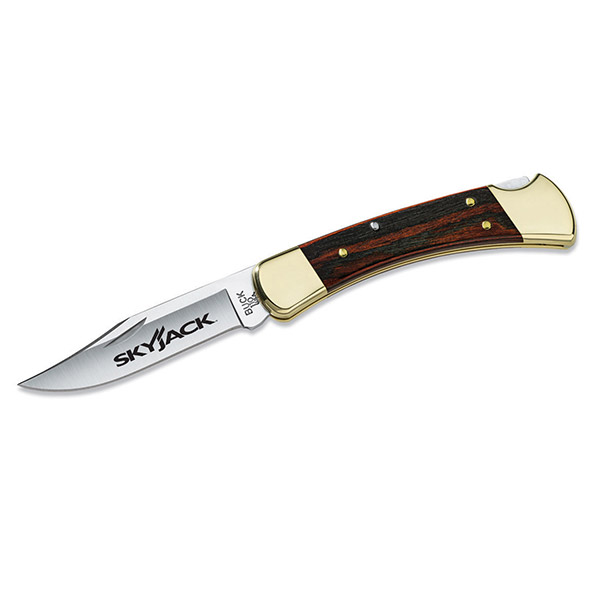 Buck-Folding-Hunter-LT-Knife